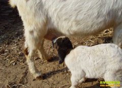 ĸ���������ܶ����᣿