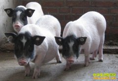 ���������������