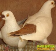 [ÿ��ũ��]�������Ĺ��͸��׬Ǯ