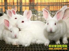 ���ϻ����컪��̡����ֳ�����¸�·