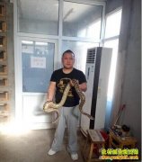 �ӱ���ȫ90�����������¸�����