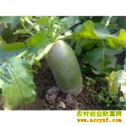 �ӹ��¸���Ŀ���ܲ���ӹ� ���¸�����