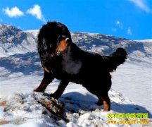 �ຣ�����г���������