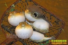 [�����е�]��ѩ����ֳ������������¸�����