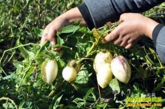 [ÿ��ũ��] �������� �˲ι�һ���ļ���