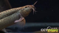 [�¸���]��׬��Ǯ��׬֮��(����������ֳ�¸���)