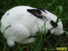 [ÿ��ũ��]һ����� ����������ռ�г�