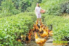 [�Ƽ�Է]���� ���� �ż�����԰