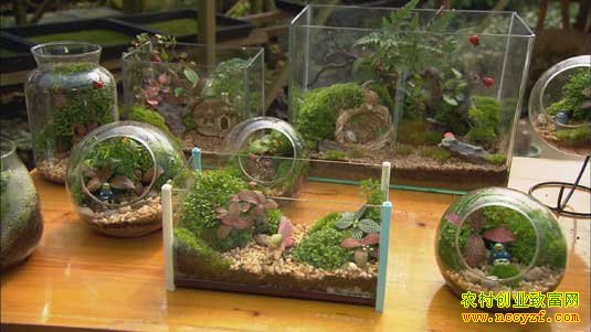 С̦޺���д�Ƹ�