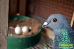 [�Ƽ�Է����]��ȫ���ø��Ӷ��µ�