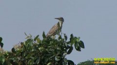 [�¸���]��ŭ�ġ����塱������