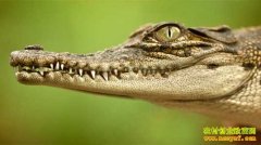 [ÿ��ũ��]һ�ٶ��������(��)