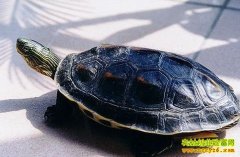 [ũ�����]�л�������ֳ����