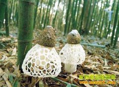 [ũ�����]����������ݥ������Ƶ