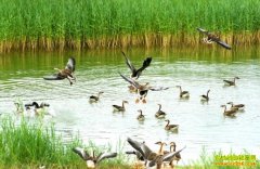 [ÿ��ũ��]�ڱ��������Ĵ���