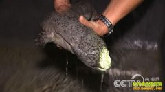 [�¸���]�����ľ���Ҫ��������