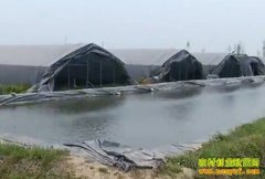 ��ֳ�¸���Ŀ�������о��� ����������