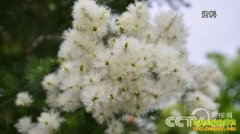 [�¸���]֣������ζ��׬Ǯ������(���޲�������ֲ)