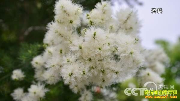  ���޲�������ֲ