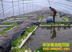 ���ϴ�����ֳ��������Ҫ��