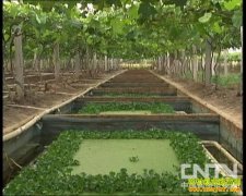 [ũ�����]���Ѽ���������