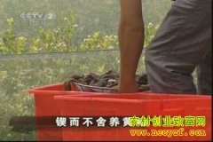 [�����е�]������������ʵ�Ļ����¸�