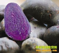 ��ֲ�¸�������СС���� �ֳ��»���