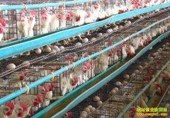 ��ֳ�¸������������� һ�괿׬��ʮ��