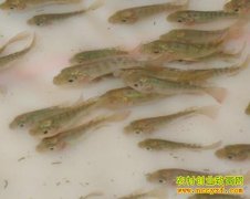 [ũ�����]�¼����޷����������׶�Ϻ��������