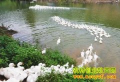 [ÿ��ũ��]�������ܳ躣��