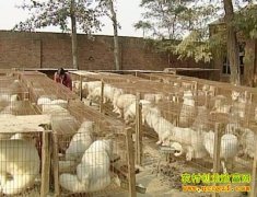 [ÿ��ũ��]�ܳ�ĺ���