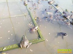 [ũ�����]���ܴ���������ֳ��