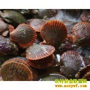 [ũ�����]�����ȱ�����������Ƶ