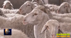 [�۽���ũ]��ͳ��������������