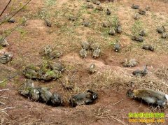 ѱ��Ұ�ã������¸��ĺ���·