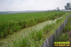 ��ֳ�¸���Ŀ������Ϻ���� һĶ��׬����Ԫ