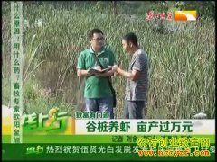 ��ֳ�¸���Ŀ����׮��С��Ϻ Ķ������Ԫ