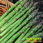 [ũ�����]«������Ʒ�ֽ�����Ƶ