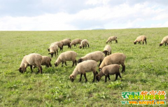 [ũ�����]�Ͷ���������ֳ������Ƶ