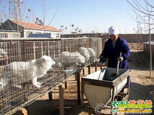 [�Ƽ�Է]������������