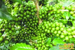 [�����е�]���꿧�ȿ�����ѩ���Ƹ�����