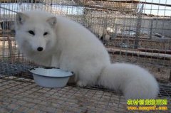 [�����е�]����������̫��:���������˰����