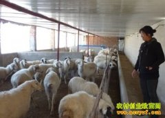 ��ֳ�¸���Ŀ��������˷����򡱲�