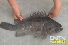 [ũ�����]���z����ֳ������Ƶ