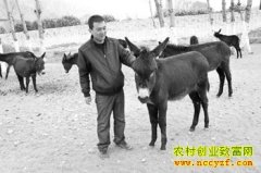 ��ֳ�¸�����������Сë¿�����