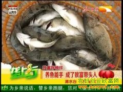 ��ֳ�¸��������������� �����¸���ͷ��