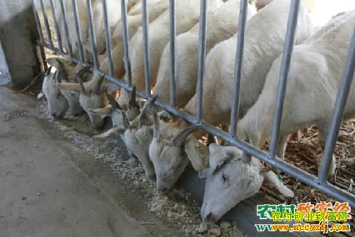 �¸��ð��������������׬Ǯ