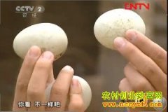 [�����е�]�����ޱ��Ϊ��������