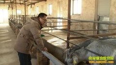 [�¸�������]���а��췢��� ����Ѱ��·