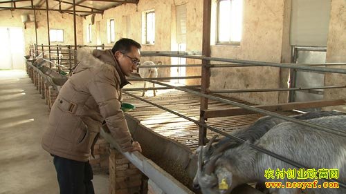 [�¸���]���а��췢��� ����Ѱ��·(20150306)